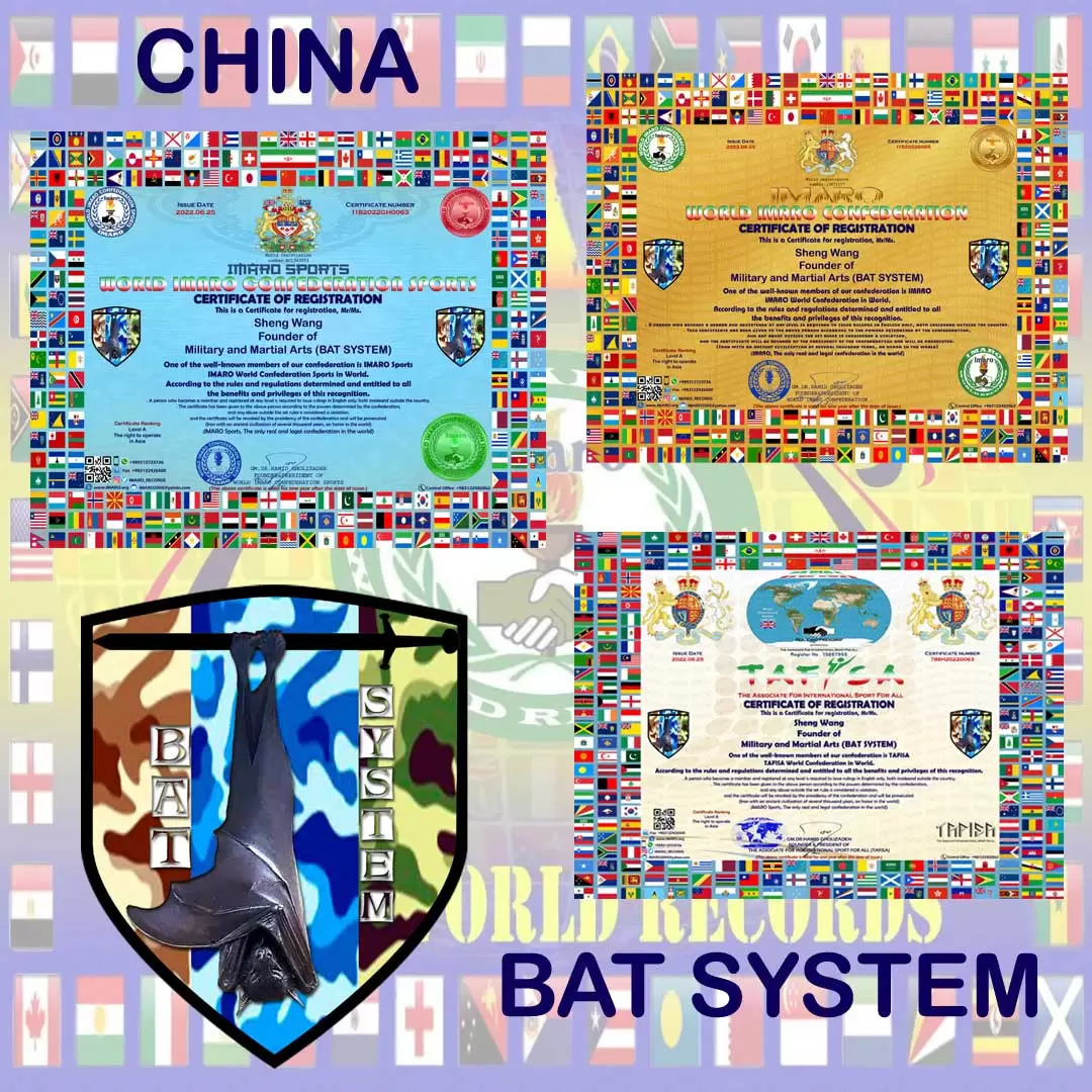 Military-and-Martial-Arts-(BAT-SYSTEM)CHINA
