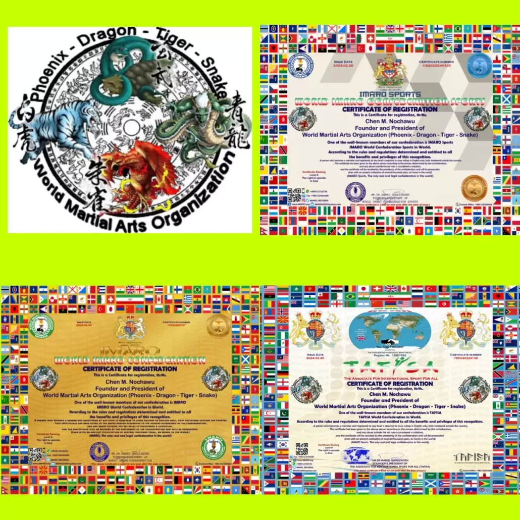 world martial arts organization (phoenix-dragon-tiger-snake)