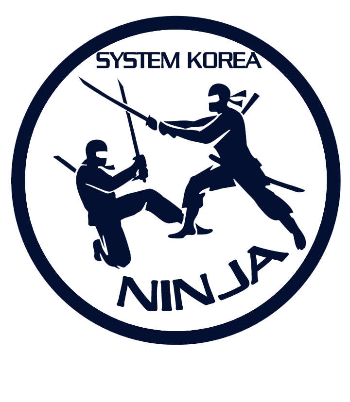 Ninja System Korea